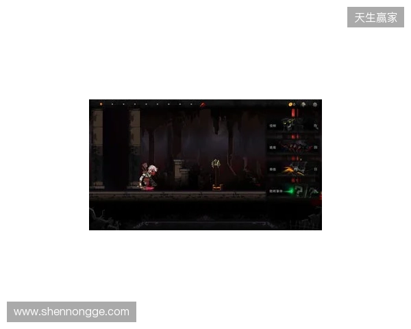 PGL布加勒斯特:绝处逢生!PV 2-0 Wildcard PGL布加勒斯特:绝处逢生!PV 2-0 Wildcard